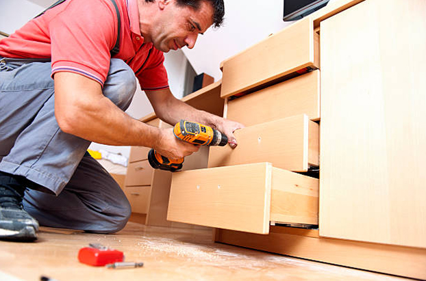 Professional Carpenter