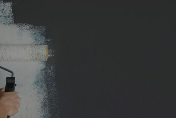 Professional Painter painting Gray wall